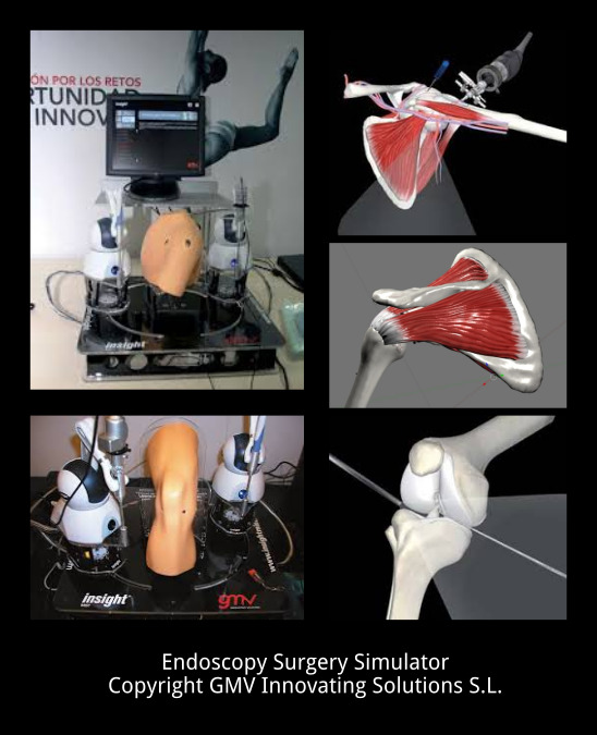 GMV Endoscopy Simulator